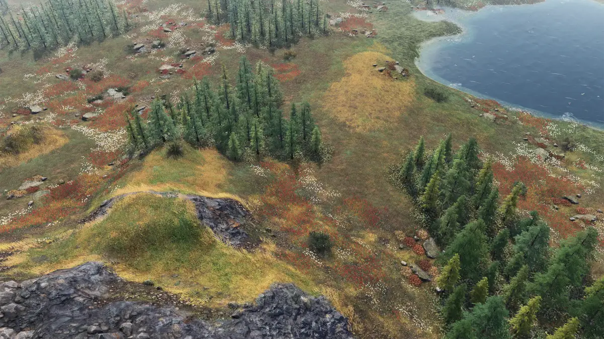 The Tundra Summer biome with pine trees, rocky ground and a lake