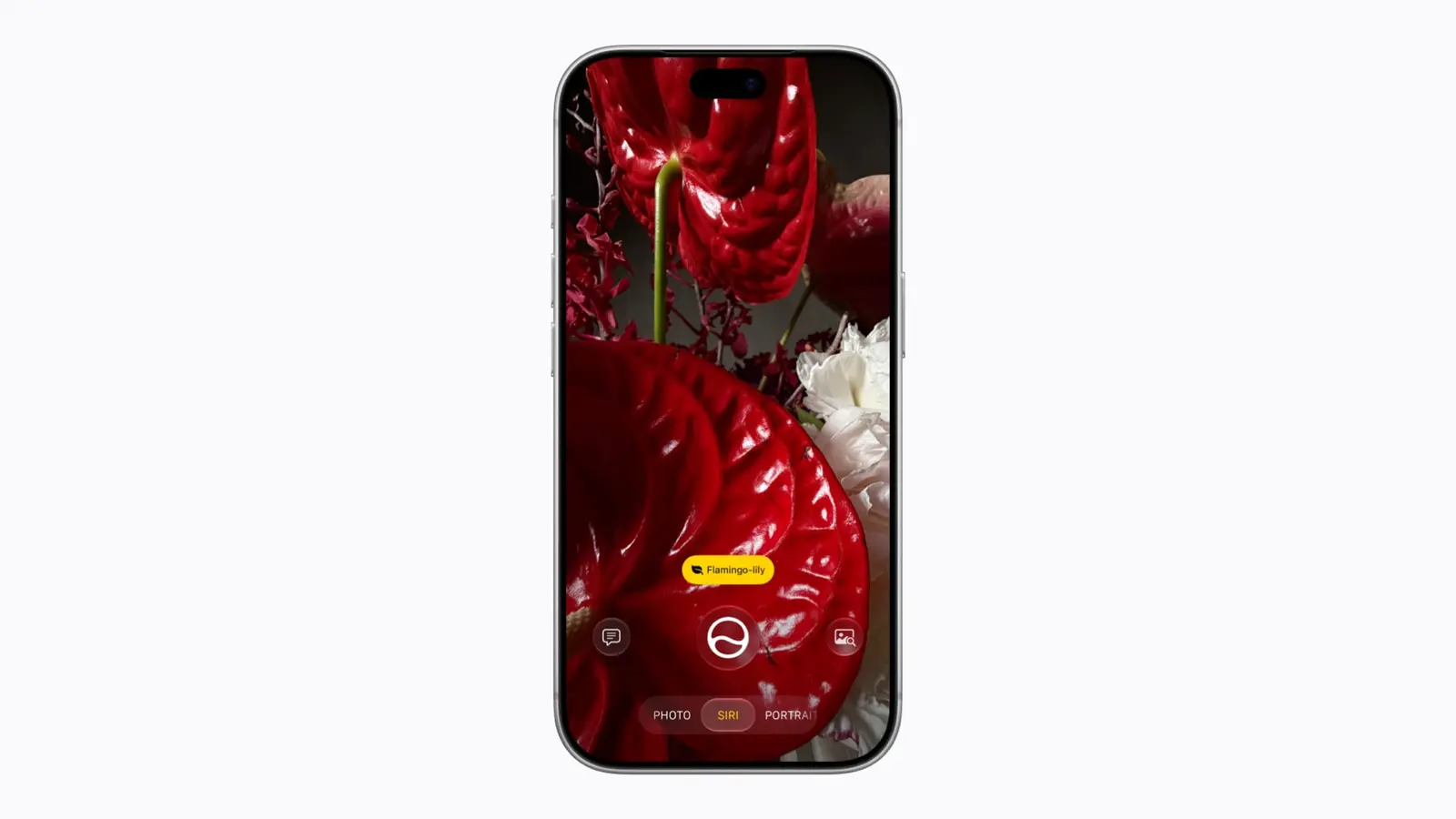 Person updating a smartphone