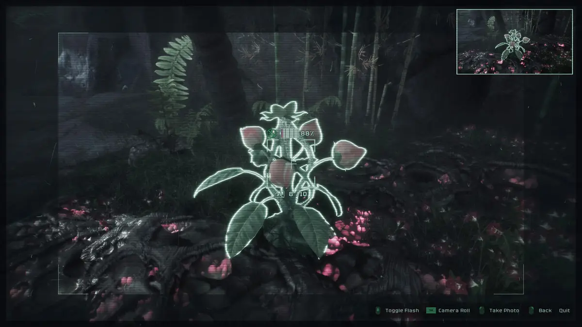 Steam screenshot from Wilderdark showing a camera view of a glowing plant in a dark forest