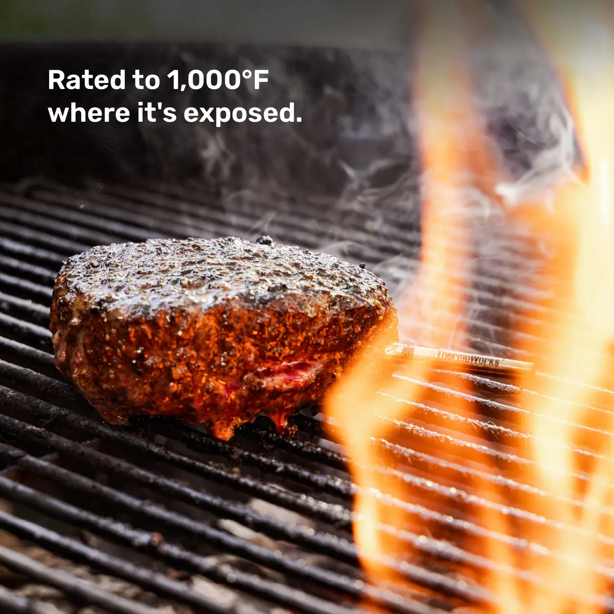 RFX MEAT Mini probes inserted into chicken breast, salmon, filet and a burger patty